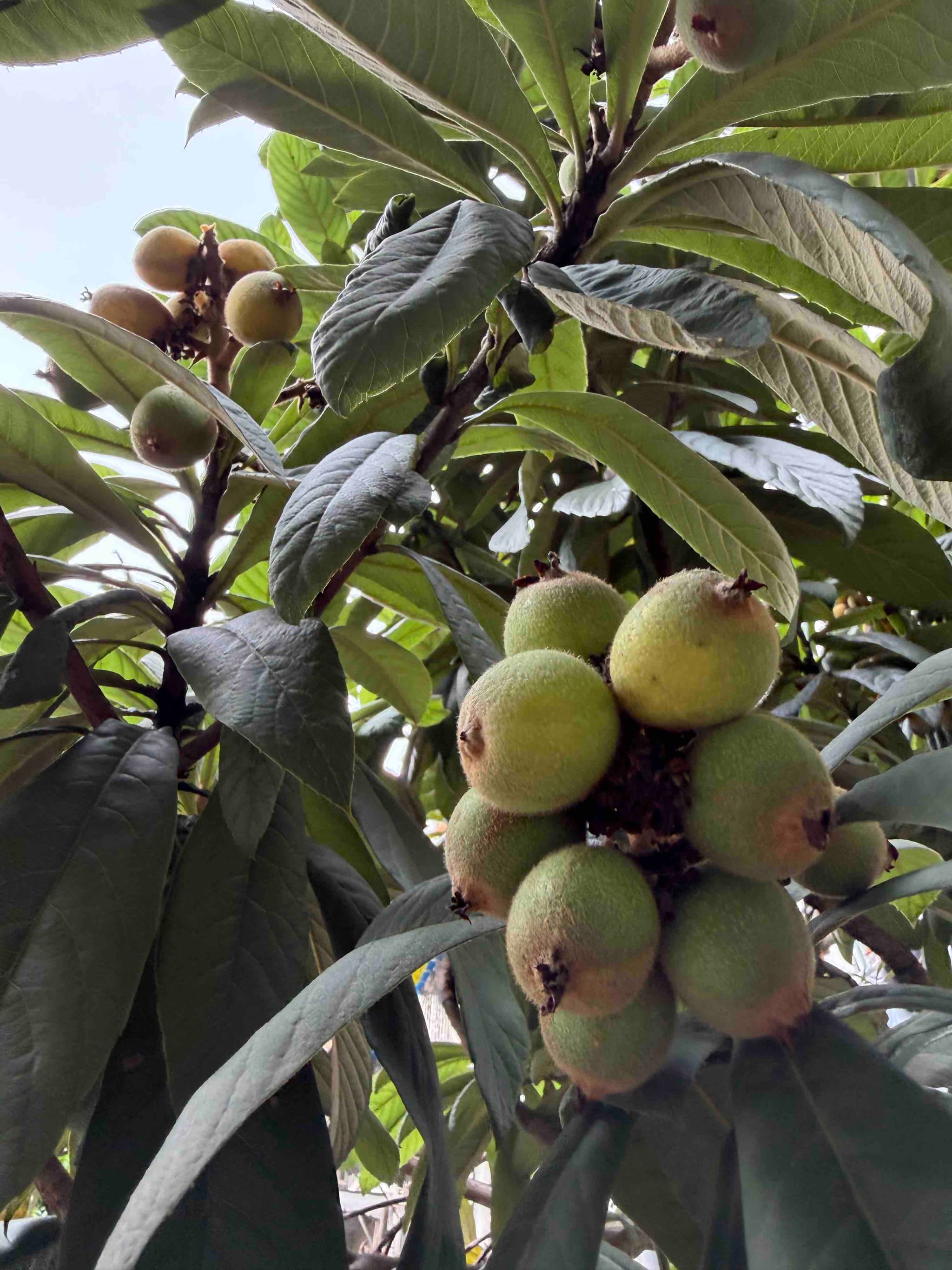 人民法院案例库强奸罪56案裁判规则梳理