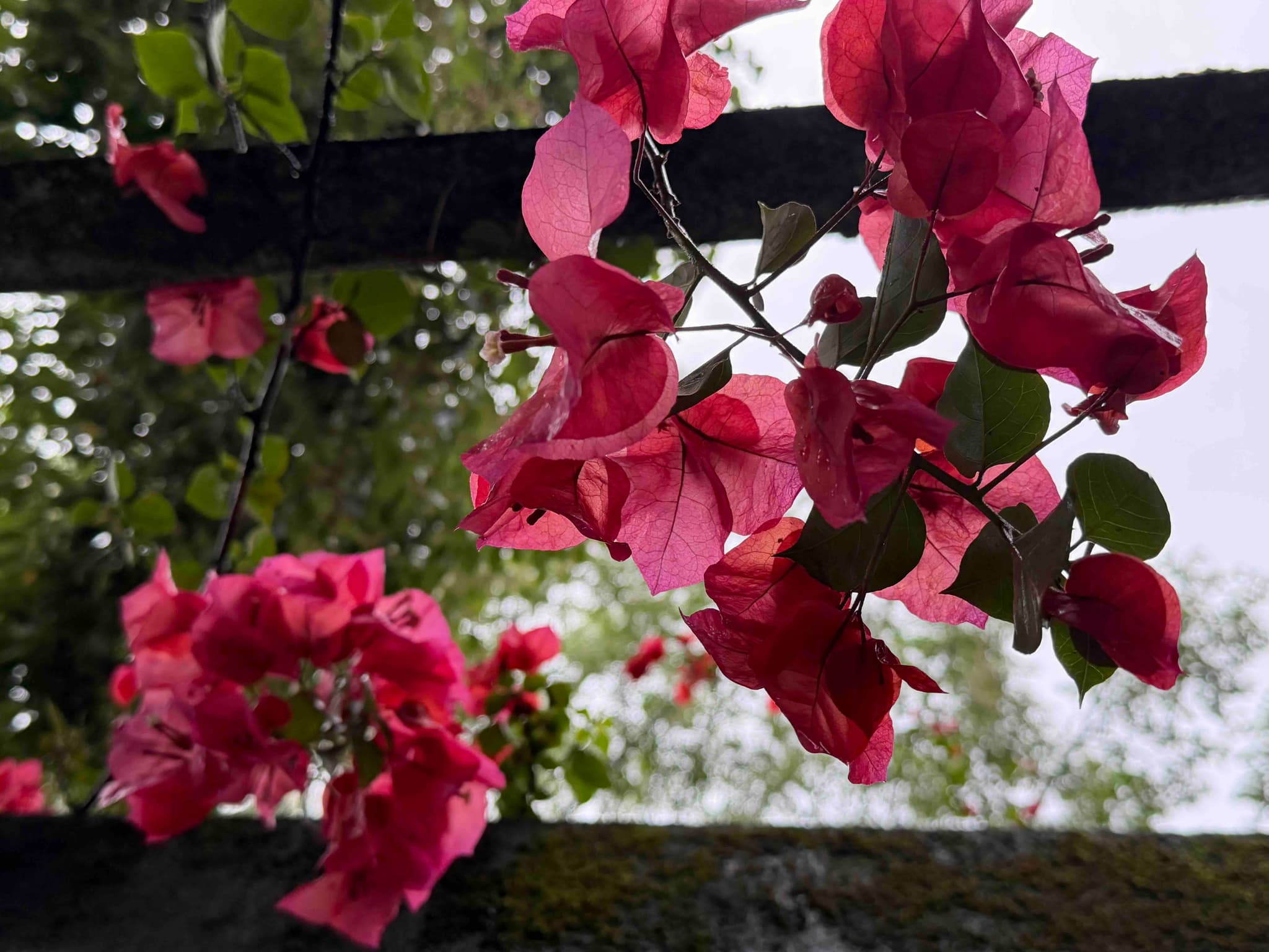 离了婚也能追回来！桂林人必看：这 6 种财产，哪怕领了离婚证，照样能起诉分割